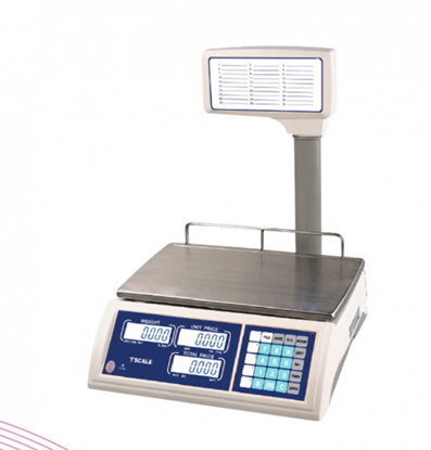 Εικόνα της TSCALE JP / JSP